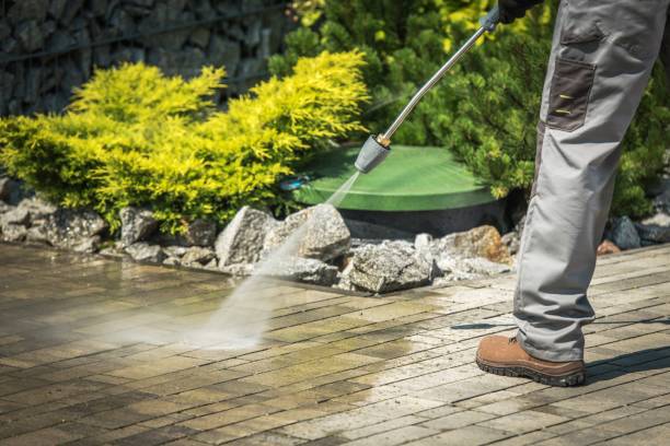 Best Gutter Cleaning  in Darien, WI